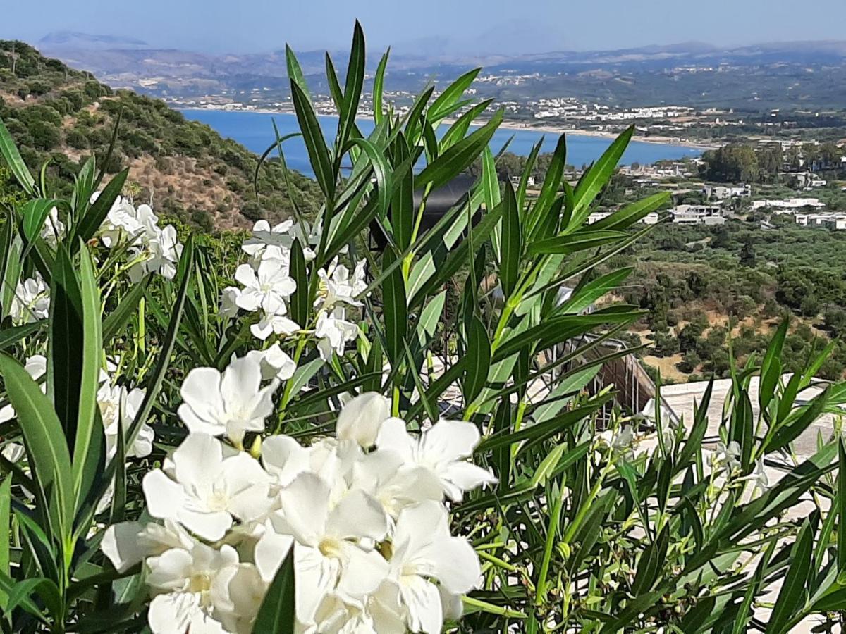 Aloe Villa Chania Crete เยโอริยิอูโปลิส ภายนอก รูปภาพ