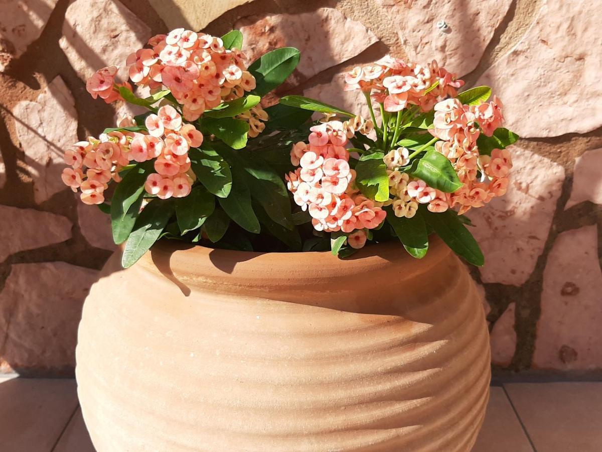Aloe Villa Chania Crete เยโอริยิอูโปลิส ภายนอก รูปภาพ