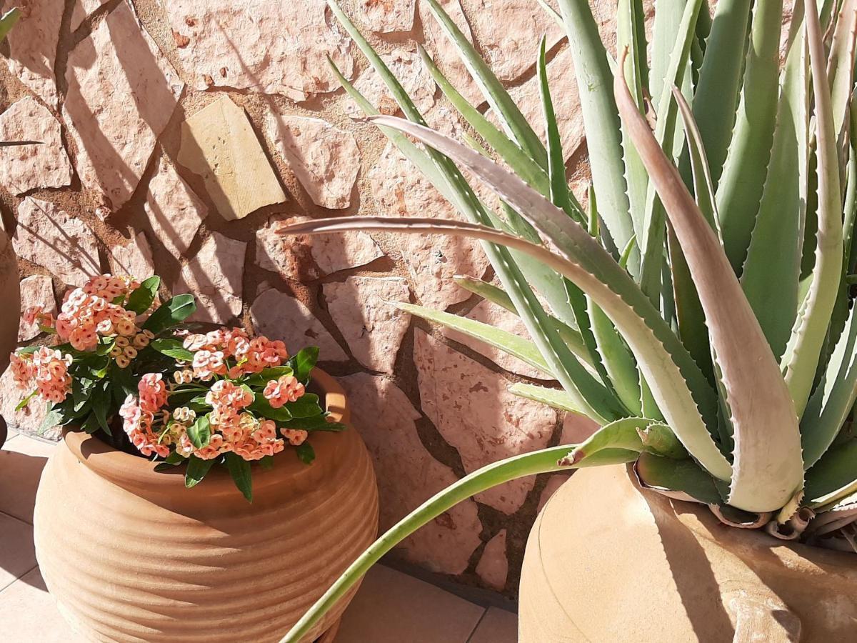 Aloe Villa Chania Crete เยโอริยิอูโปลิส ภายนอก รูปภาพ