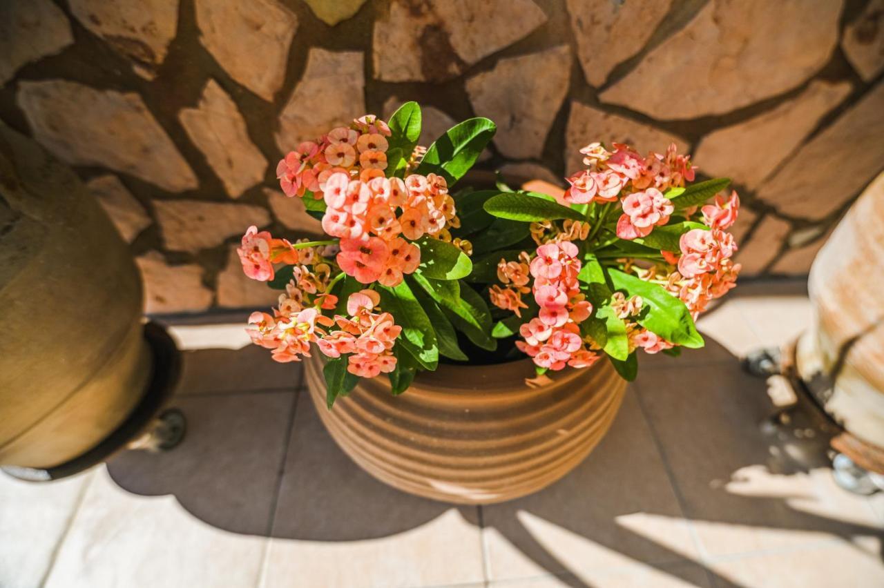 Aloe Villa Chania Crete เยโอริยิอูโปลิส ภายนอก รูปภาพ